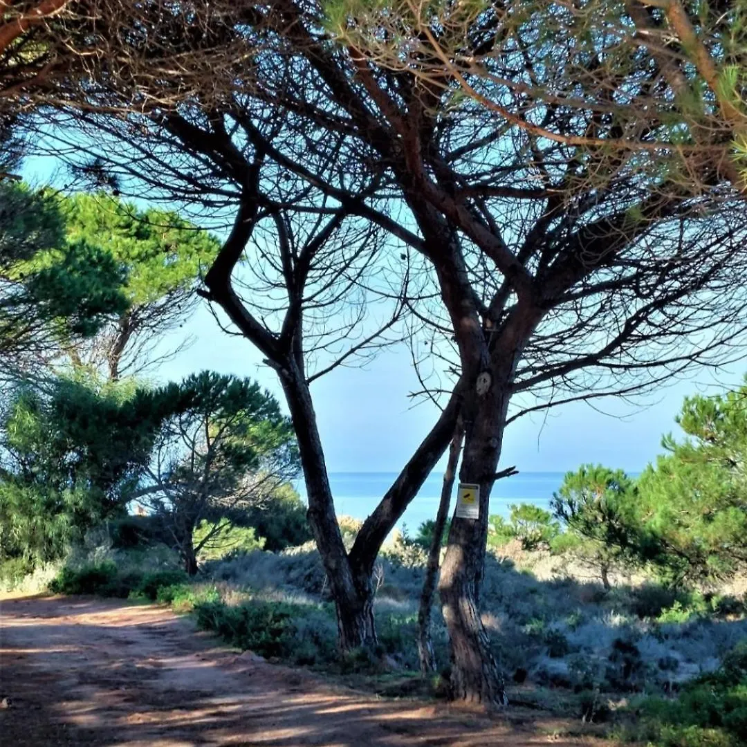 Appartamento Calarossa Sardegna Casarosa Isola Rossa